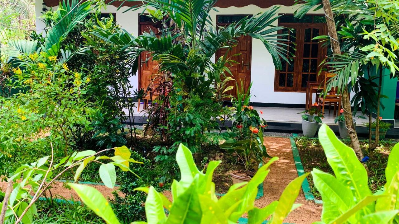 Sigiri Starwing Villa Sigirîya Extérieur photo