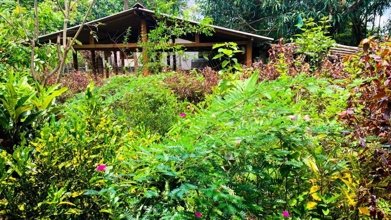 Sigiri Starwing Villa Sigirîya Extérieur photo